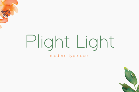 Discover the Elegance of Plight Light Font