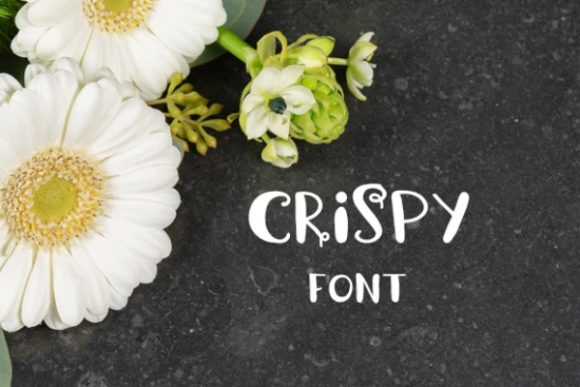 Enhance Your Brand with Crispy: A Versatile Display Font