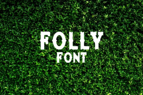 Enhance Your Brand with Folly: A Beautiful Display Font
