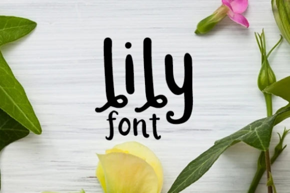 Lily: A Friendly and Versatile Display Font for Creative Projects