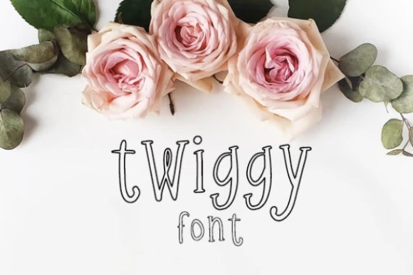 Twiggy: The Perfect Display Font for Eye-Catching Campaigns